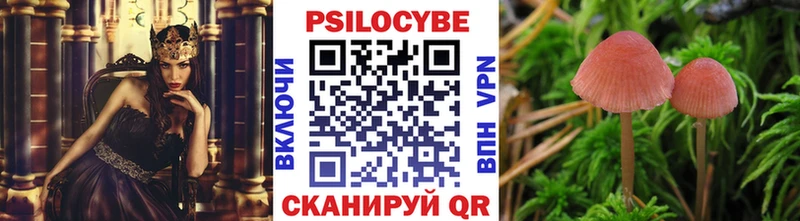 OMG как зайти Ипатово Псилоцибиновые грибы Psilocybe где можно купить наркотик